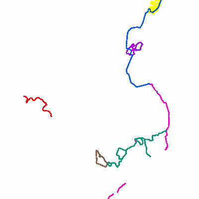 Export Image